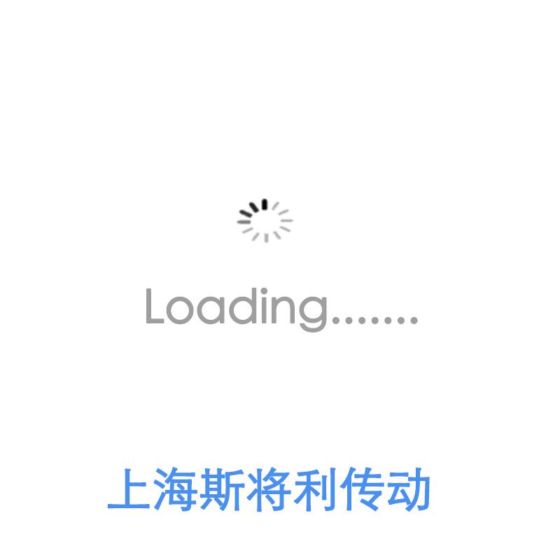 HIWIN上银 R40-5B2-OFSW-380-572-0.018 上银滚珠丝杆代号
